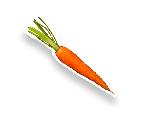 carotte